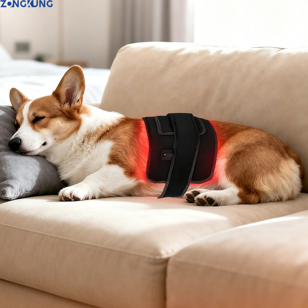 Galvanic Skin Sensor - Thérapie par lumière rouge pour animaux